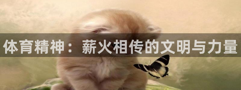 JJB竞技宝官方正版app五金厂:体育精神:薪火相传的文明与