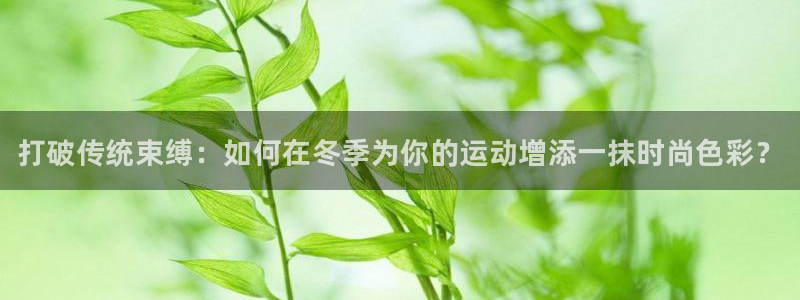 JJB竞技宝官网下载招商电话号码查询:打破传统束缚:如何在冬
