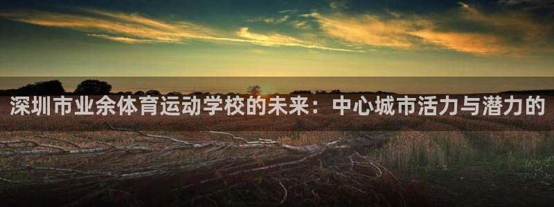 JJB竞技宝官网下载平台注册要钱吗:深圳市业余体育运动学校的