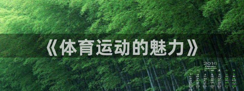 JJB竞技宝官网下载招商电话号码查询是多少:《体育运动的魅力